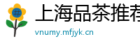上海品茶推荐网